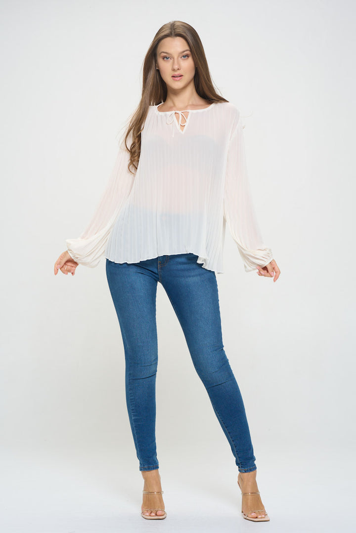 Vera Pleated Long Sleeve Sheer Blouse