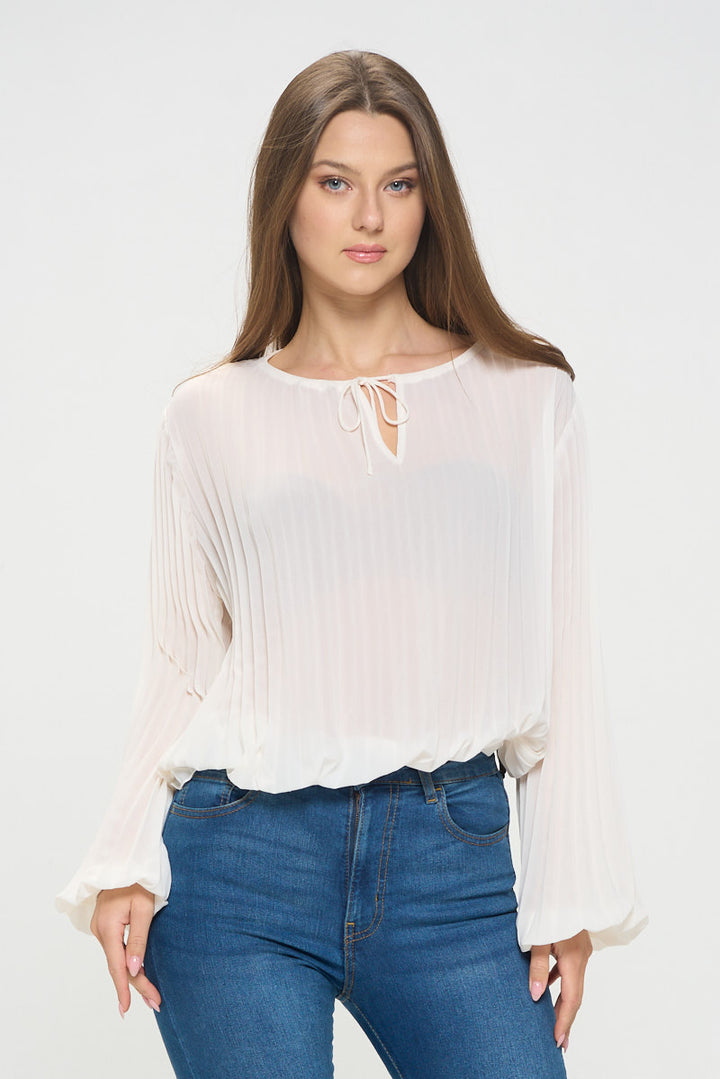 Vera Pleated Long Sleeve Sheer Blouse