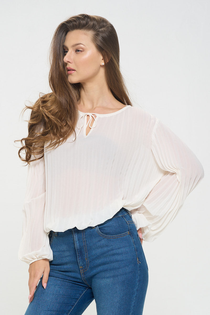 Vera Pleated Long Sleeve Sheer Blouse