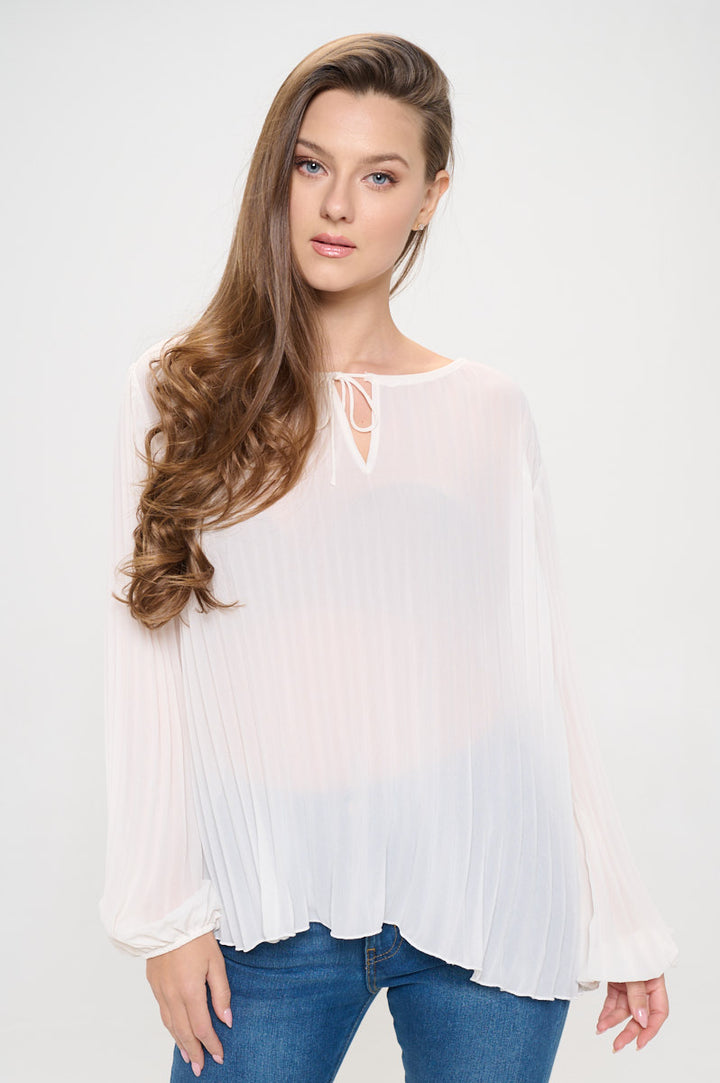 Vera Pleated Long Sleeve Sheer Blouse